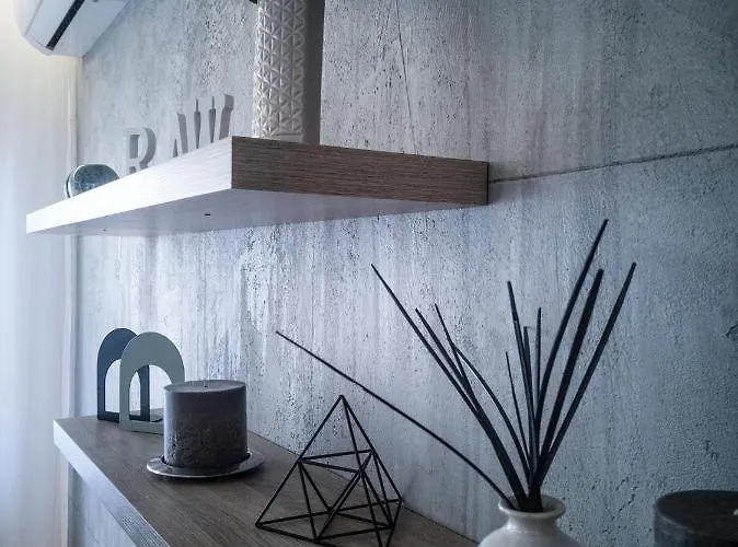 Raw Industrial City Apartment